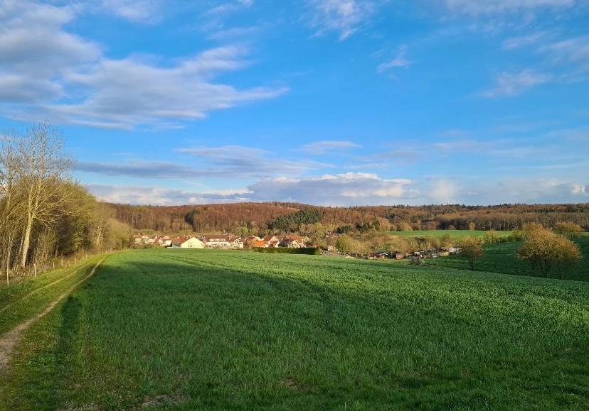 Schoenes Zimmer In Einfamilienhaus In Ruhiger Lage Ober-Ramstadt Exterior foto